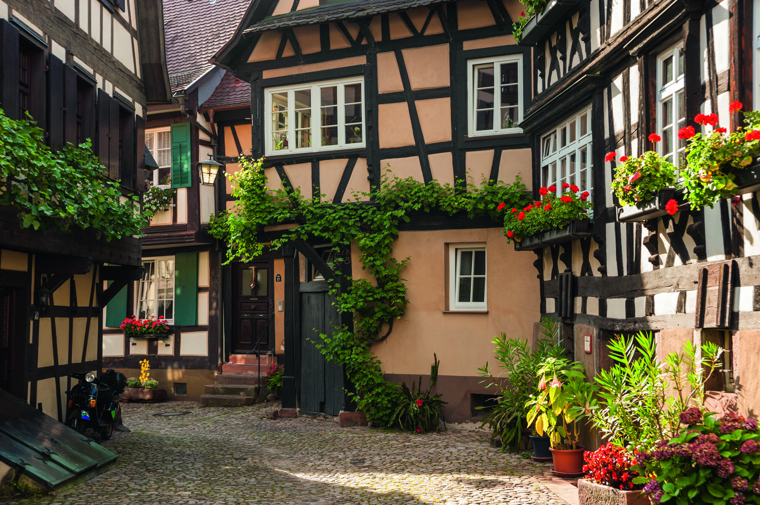 Engelgasse, Gengenbach, Schwarzwald, Baden-Württemberg, Deutschland, Europa Ein Fachwerkhaus zum Thema Fachwerk streichen